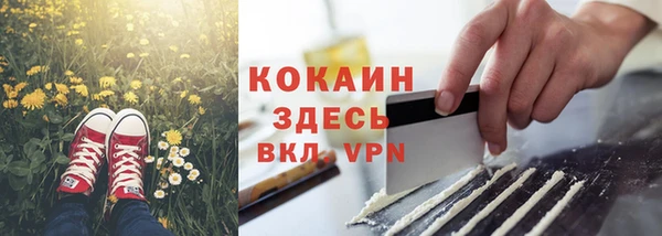 ГАЛЛЮЦИНОГЕННЫЕ ГРИБЫ Вязники