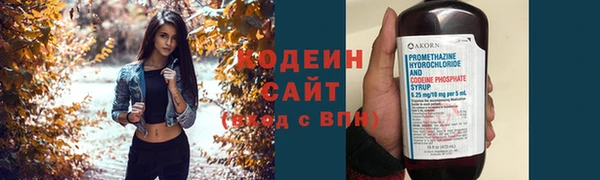 прущие грибы Верхний Тагил