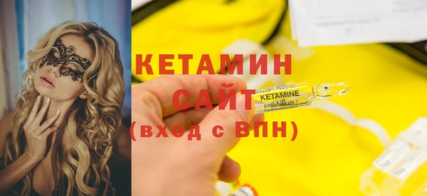 прущие грибы Волоколамск