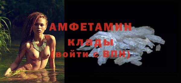крисы Вязьма