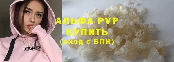 прущие грибы Верхний Тагил