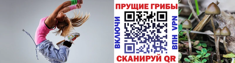 Псилоцибиновые грибы GOLDEN TEACHER  купить  сайты  Егорьевск 